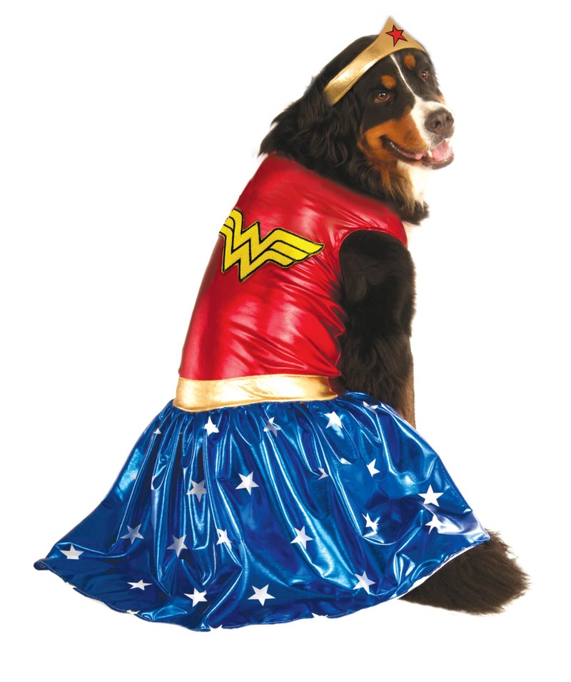 Rubies DC Comics: Wonder Woman Pet Costume for For Dogs or Cats by Rubies, Medium - Image 2